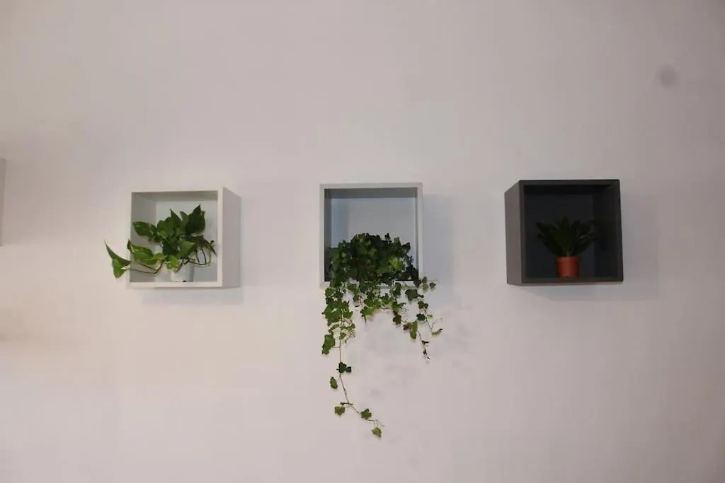 Spazioso Appartamento Castel di Leva Apartment
