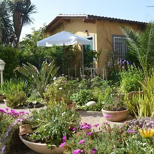 Le Cicale Casa vacanze